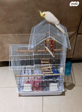 אביזרים | כלוב