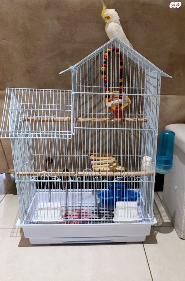 אביזרים | כלוב