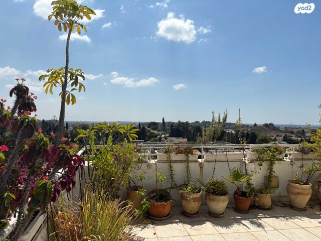 גג/ פנטהאוז, יוסף קרוננברג 11, רחובות החדשה, רחובות