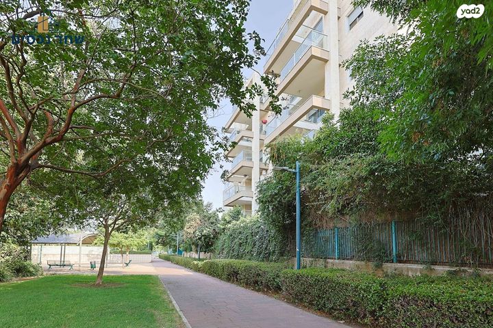 כפר סבא הצעירה