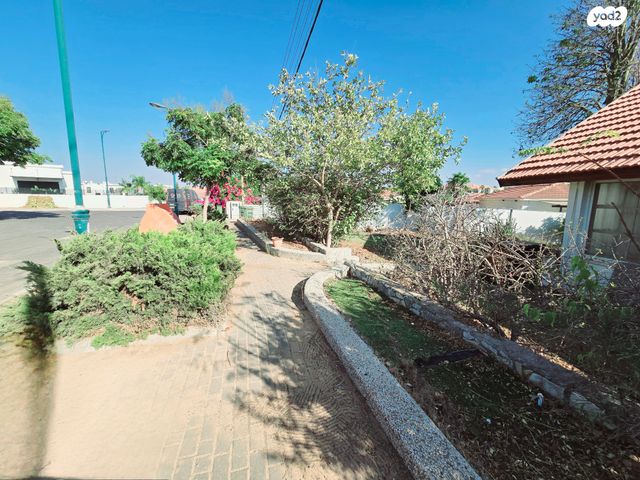 כ"ט בנובמבר 