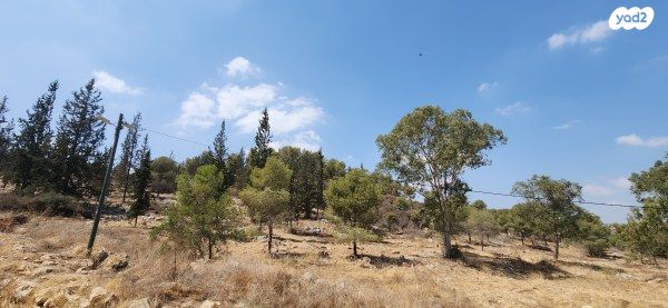 בית פרטי/ קוטג', אורנית