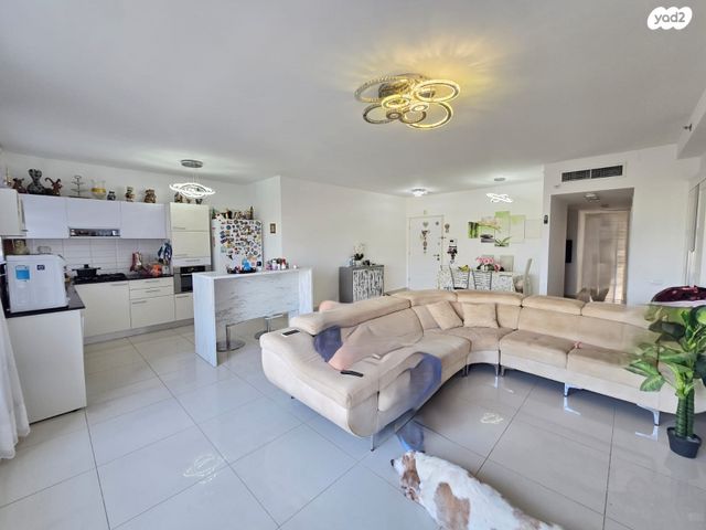 דירה, היינץ כהן, ח-501, חולון