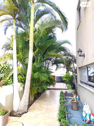 דו משפחתי, צופים, צופים