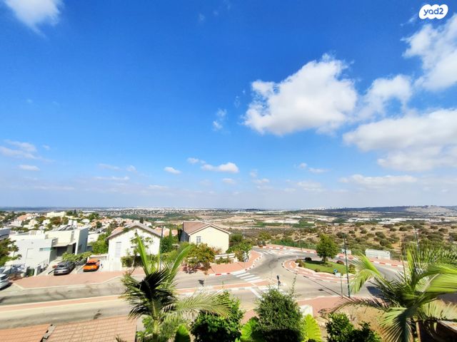 דו משפחתי, צופים, צופים