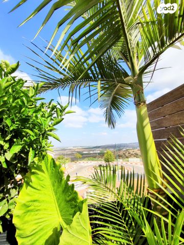 דו משפחתי, צופים, צופים