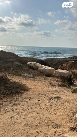 דרך הזיתים 18