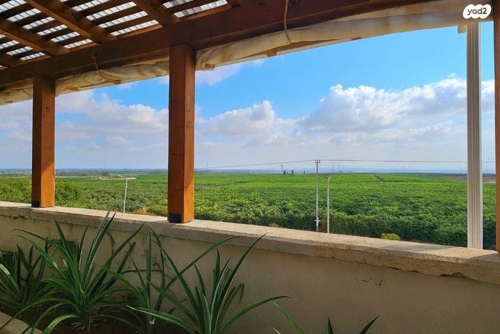 דופלקס, הצאלון, בית אליעזר, חדרה