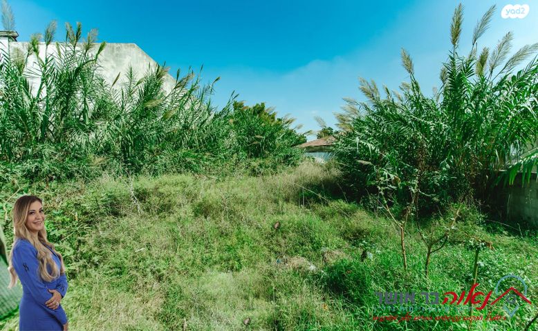 מגרשים, טרומפלדור, בית דגן, בית דגן