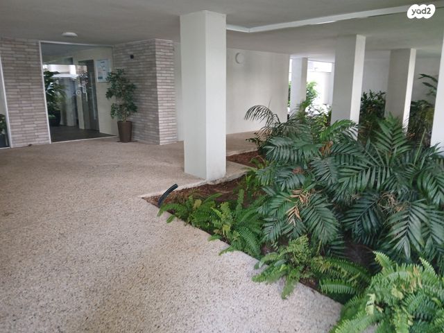 דירה, שברץ, לסטר/רבוצקי, רעננה