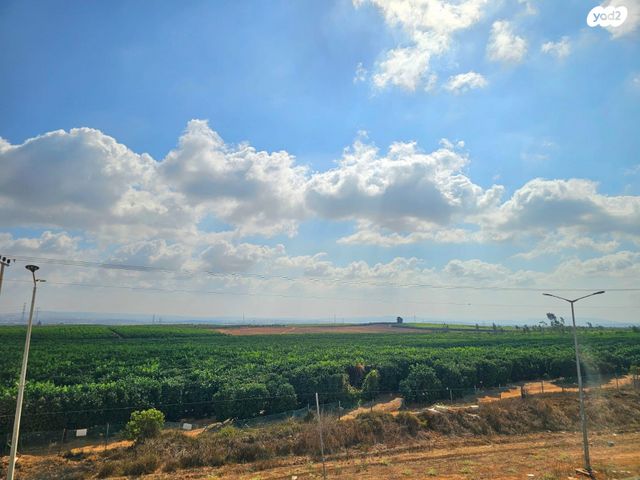 דופלקס, הצאלון, בית אליעזר, חדרה