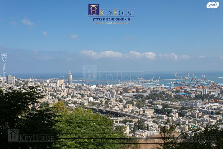 דירה, יזרעאליה, חיפה