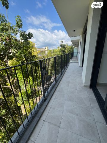 הרב יצחק ידידיה פרנקל 