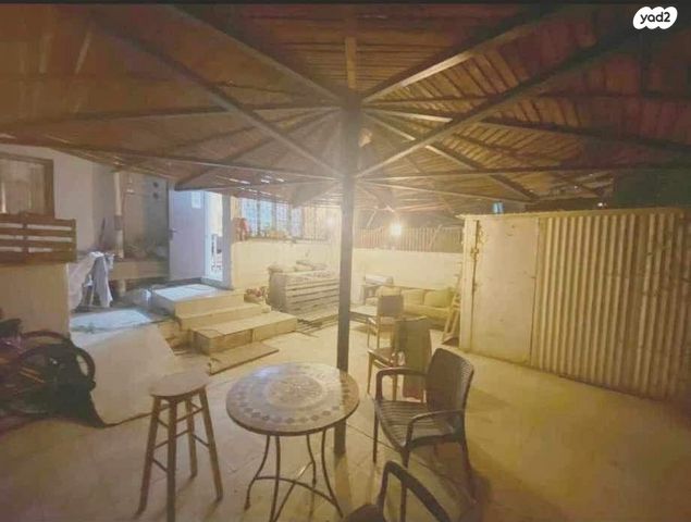 אלכסנדר ינאי 