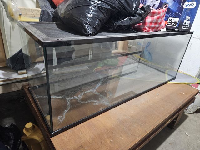 תמונת מודעה - חיות מחמד