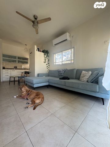 דירה, נצח ישראל, הצפון הישן - דרום, תל אביב יפו