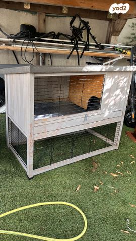 תמונת מודעה - חיות מחמד