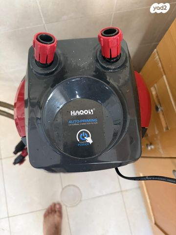 תמונת מודעה - חיות מחמד