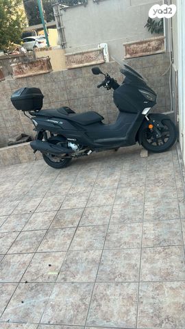 סאן יאנג ג'וי-מקס Z-300