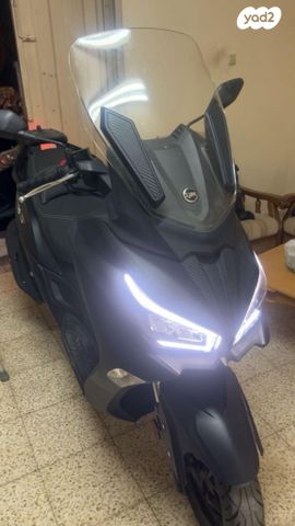 סאן יאנג ג'וי-מקס Z-300