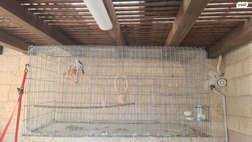 תמונת מודעה - חיות מחמד