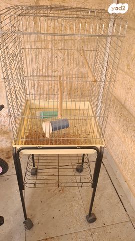 תמונת מודעה - חיות מחמד