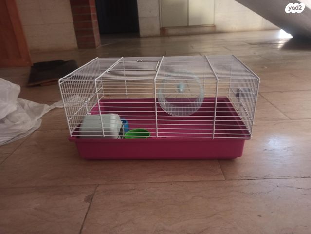 תמונת מודעה - חיות מחמד