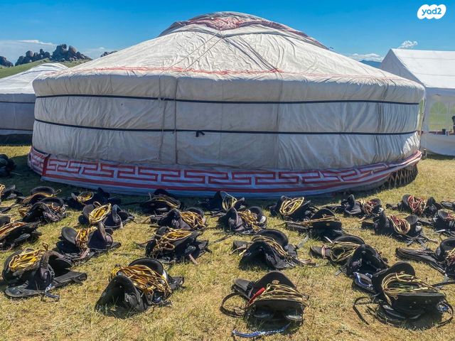 אביזרים | אוכף