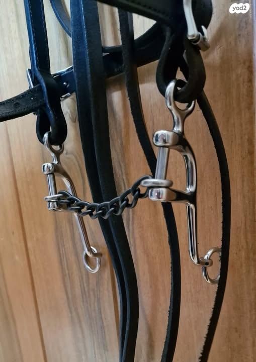 אביזרים | אוכף