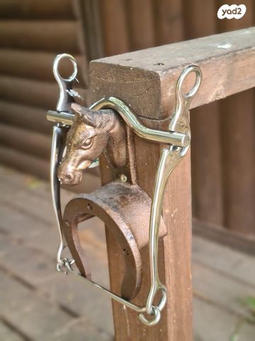 אביזרים | אוכף