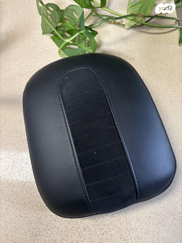 הרלי דיווידסון FXDR 114