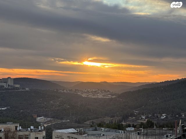 גרטרוד קראוס 12