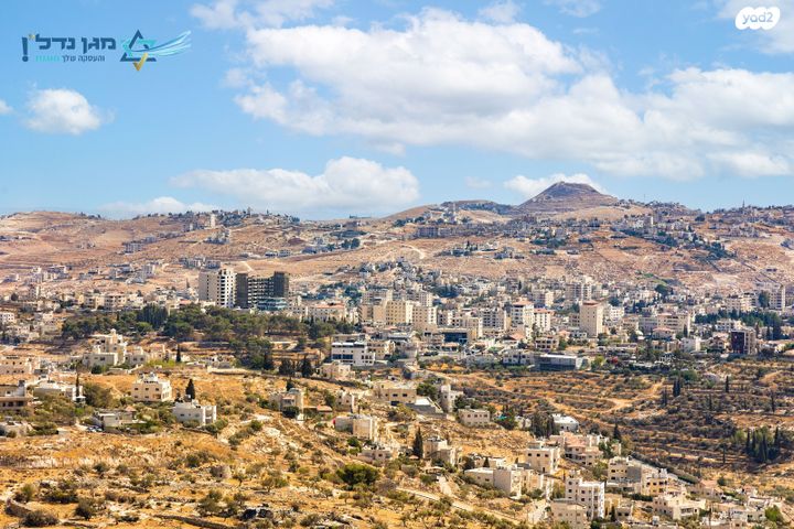 דירה, שאול אביגור, חומת שמואל, הר חומה, ירושלים