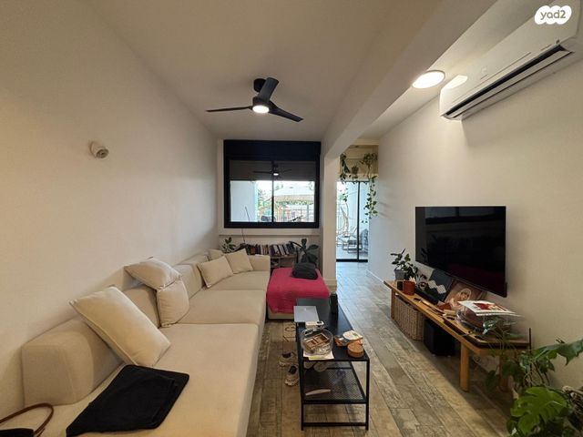 שלומציון המלכה 