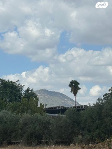 משק חקלאי/ נחלה, כפר קיש