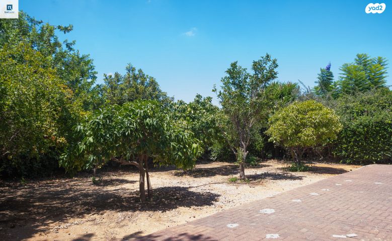 בית פרטי/ קוטג', הגלעד, כוכב יאיר / צור יגאל