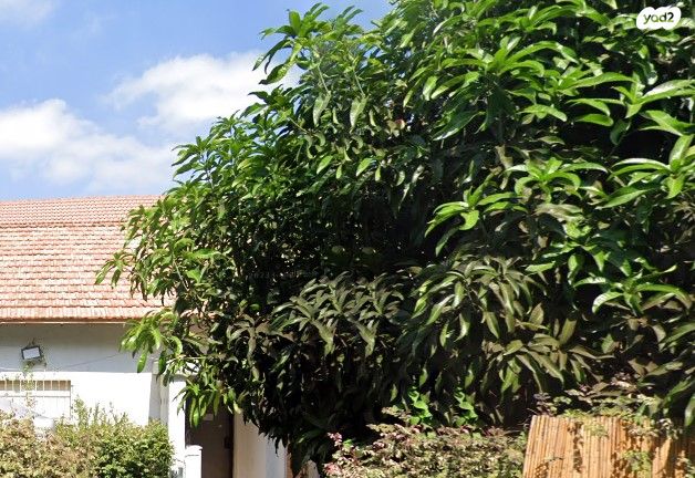 השלושים ושלושה 