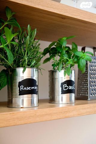 דירה, הצפון הישן - דרום, תל אביב יפו