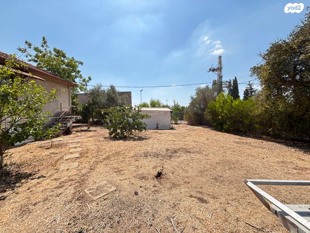 מגרשים, שלום עליכם, מגדל העמק