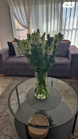 דירה, ההגנה 48, עמידר, נהריה