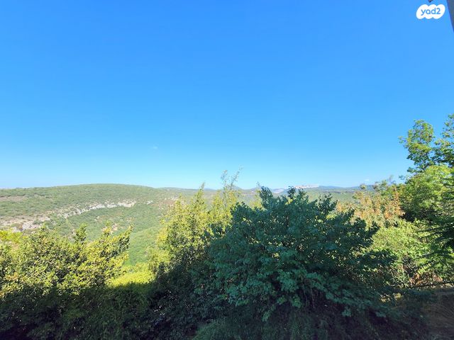 דירת גן, כרכום, יצחק רבין, מעלות תרשיחא