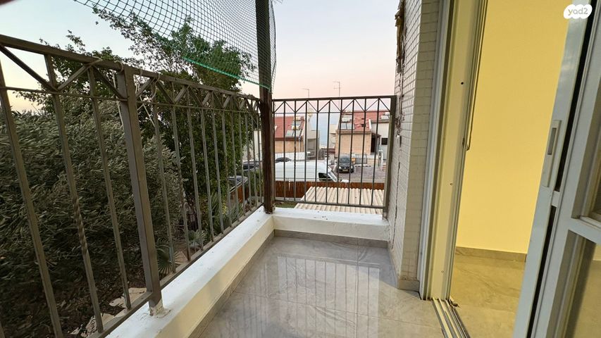 דירה, אלה, טבריה