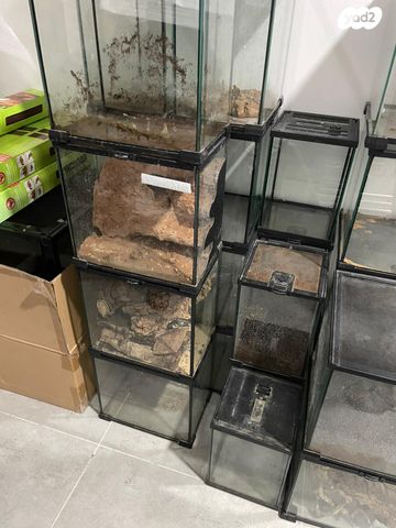 תמונת מודעה - חיות מחמד