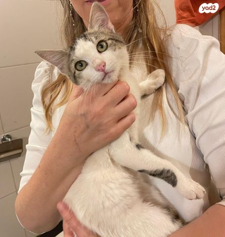 תמונת מודעה - חיות מחמד