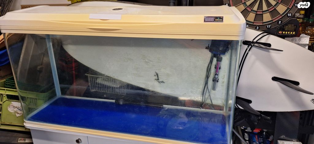 תמונת מודעה - חיות מחמד