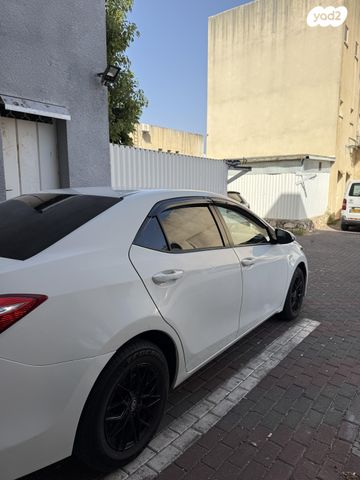 טויוטה קורולה