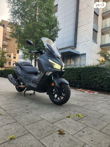 סאן יאנג ג'וי-מקס Z-300