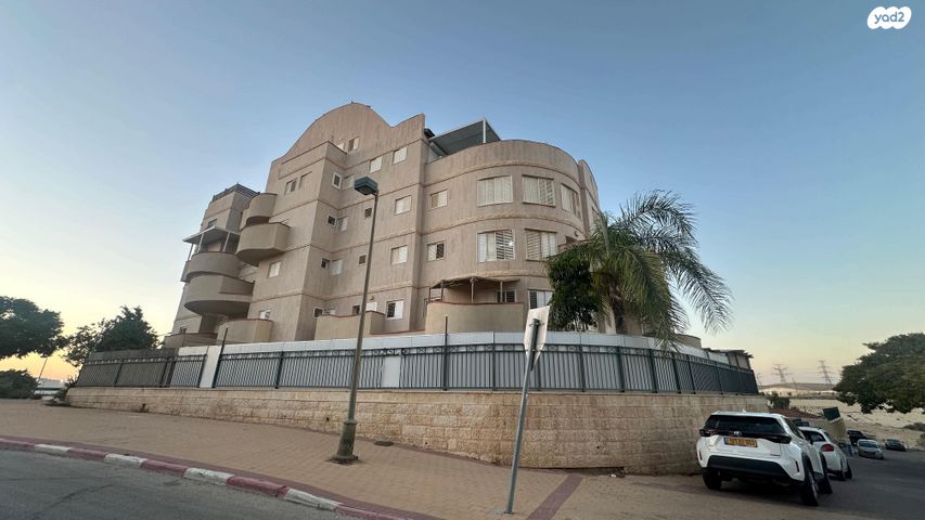 פרופסור אברהם אמיר 