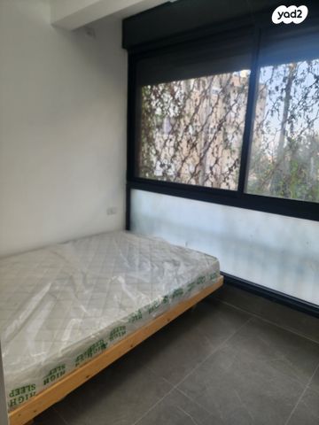 דירה, השומר, העיר התחתית, ואדי סאליב, חיפה