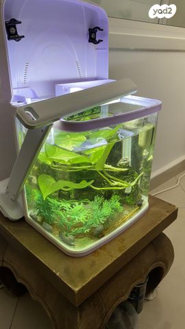 תמונת מודעה - חיות מחמד